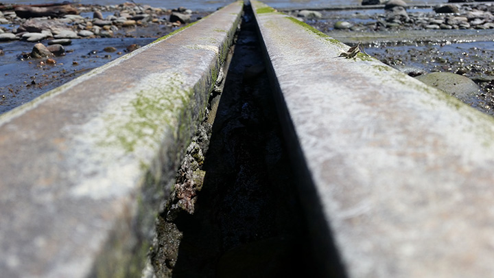 Rails at an abandoned shipyard in Westport